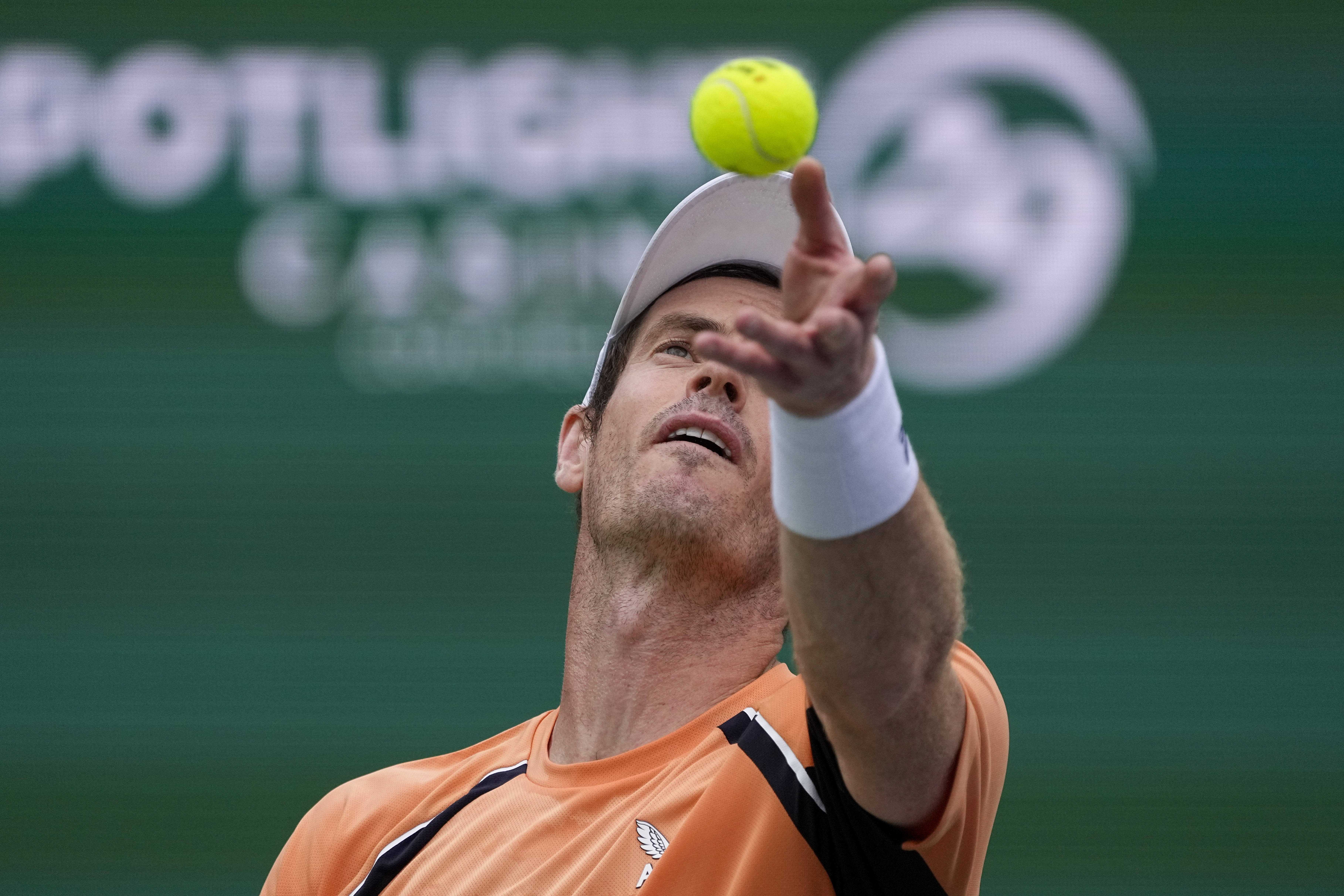 包含德国网球队血洗法国网球队，穆雷绝境逆转的词条