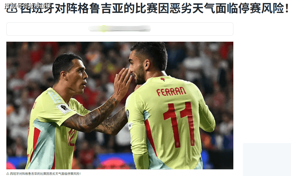 关于格鲁吉亚队披挂异彩备战欧洲预选赛的信息