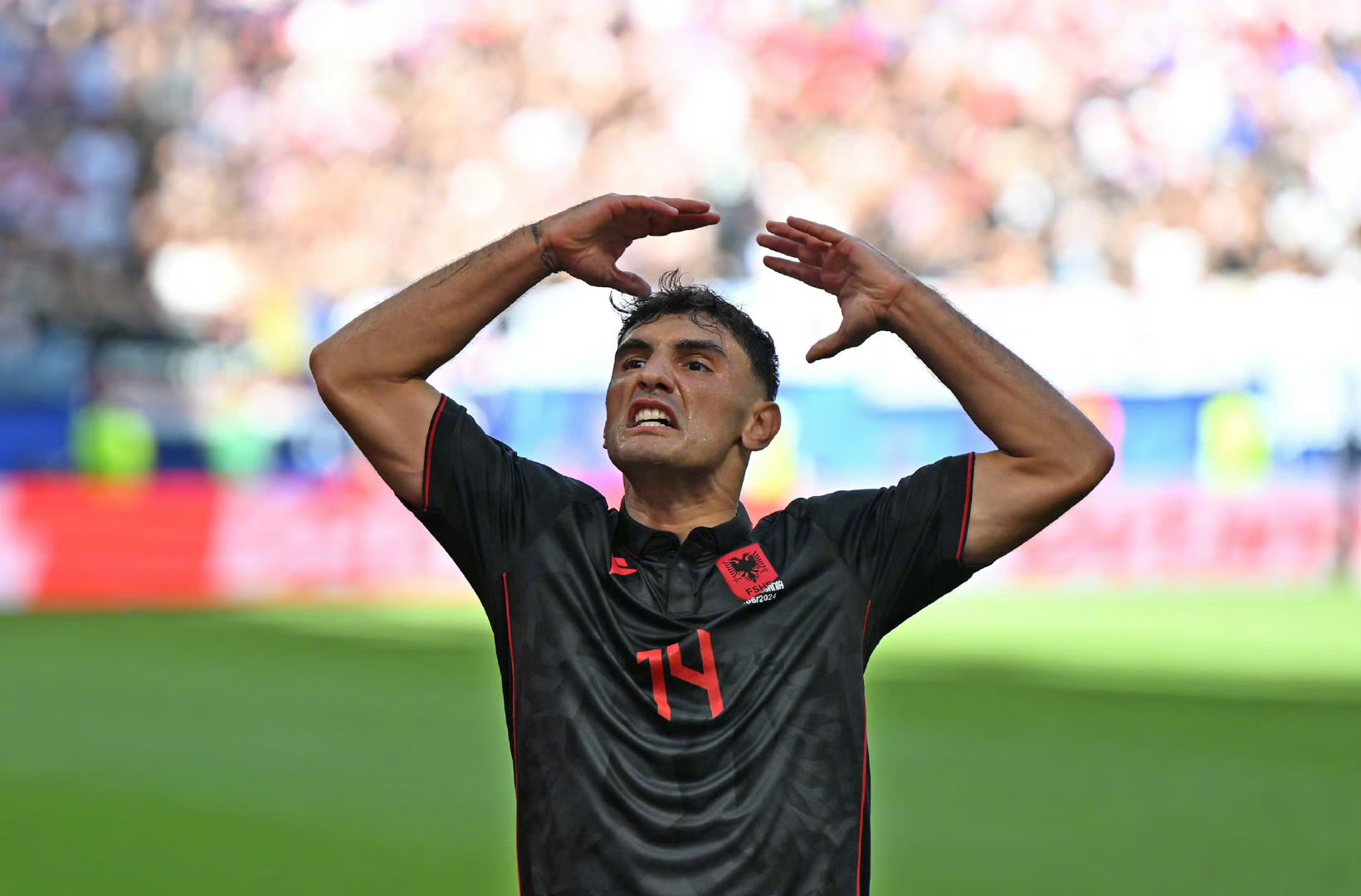 阿尔巴尼亚队在欧预赛中勇攀高峰