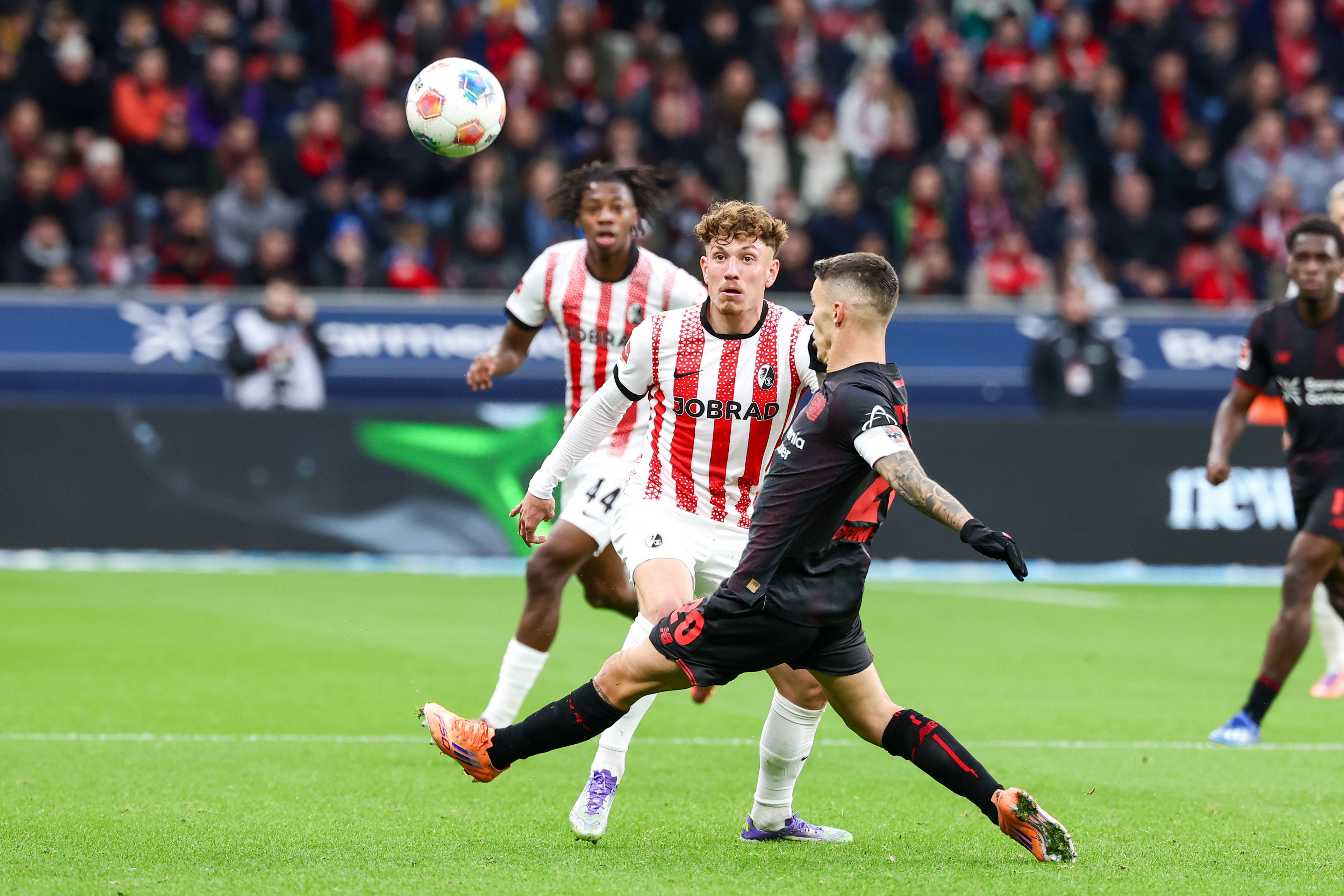 包含弗赖堡球员康复出战,激励全队的词条 包含弗赖堡球员康复出战,激励全队的词条