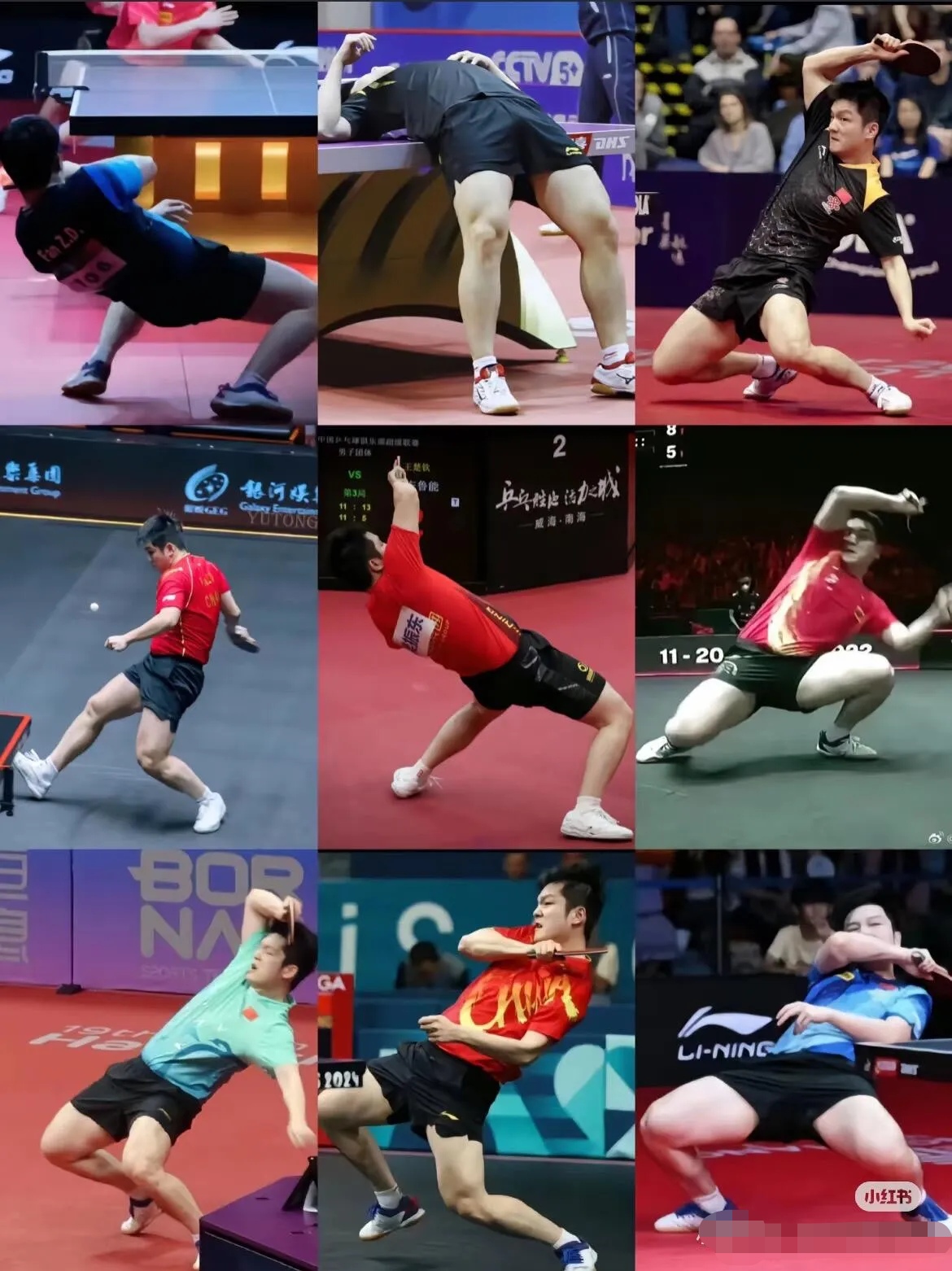 法国队碾压韩国队，樊振东点燃赛场