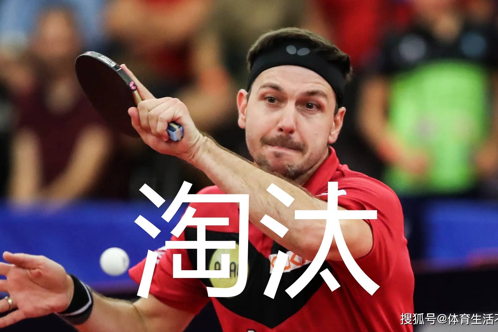 日本乒乓球队横扫波兰乒乓球队，波尔三分雨点燃全场的简单介绍