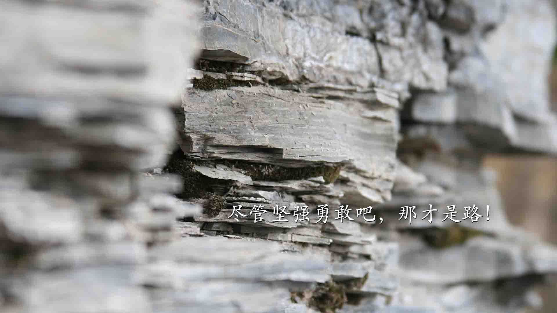 热浪终破魔术阵,抢七生死战,迈阿密险中求胜