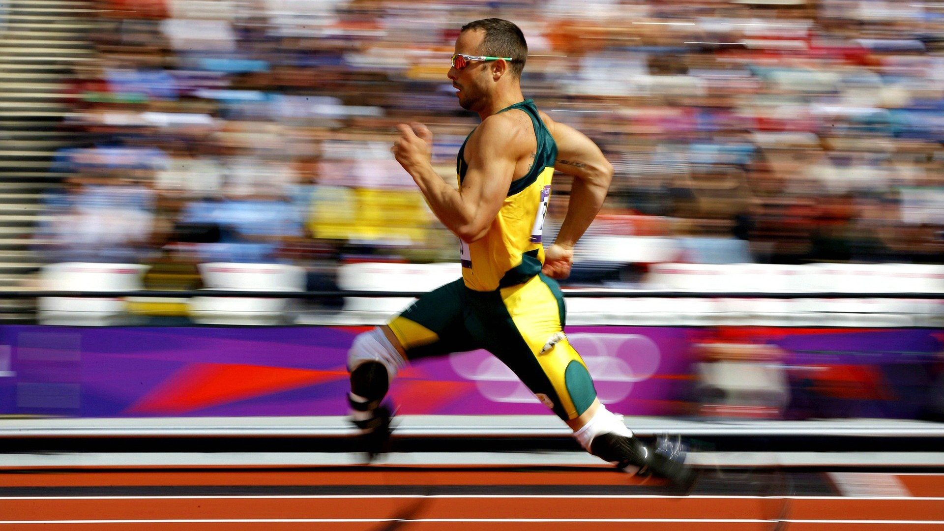 绿茵场与橄榄球场,当西德比遇见南半球风暴,体育如何定义国家荣耀